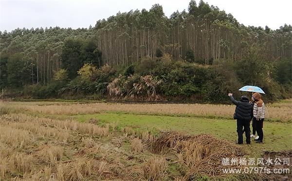 海北藏族自治州陈老师带着爱徒寻龙点穴